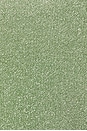 view 5 of 5 Celine One Piece in Sage