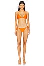 view 4 of 5 Soleil Bikini Bottom in Hibiscus Sorbet