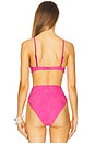 view 3 of 5 Camilla Bikini Top in Strawberry Stand Terry
