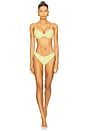 view 4 of 4 Vanessa Bikini Bottom in Citrine Crush