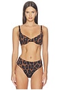 view 1 of 4 Lulu Bikini Top in Caramel Leopard