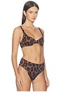 view 2 of 4 Lulu Bikini Top in Caramel Leopard