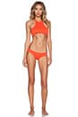 view 4 of 4 BAS DE MAILLOT DE BAIN OASIS in Liza Red
