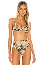 view 1 of 5 Camilla Bikini Top in Palm