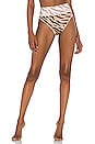view 1 of 4 EMMY 비키니 하의 in Chapman Zebra