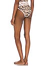 view 3 of 4 EMMY 비키니 하의 in Chapman Zebra