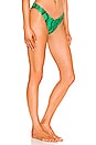 view 2 of 4 Vanessa Bikini Bottom in Jellybean Snake