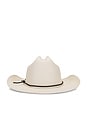 view 2 of 2 Range Straw Cowboy Hat in Off White