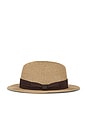 view 3 of 3 SOMBRERO in Brown & Chocolate