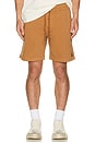 view 5 of 6 Everyday Vintage Wash Short in Washed Copper