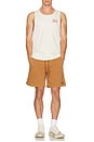 view 6 of 6 Everyday Vintage Wash Short in Washed Copper