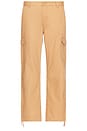 view 1 of 5 Waypoint Relaxed Cargo Pant in Tobacco Brown