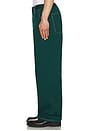 view 5 of 5 Baggy Skate Panst in Deep Emerald