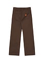 view 2 of 6 PANTALON BAGGY UNION in Pinecone Brown