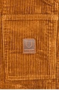 view 6 of 6 Builders Carpenter Pant in Washed Copper Corduroy