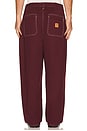 view 3 of 5 Union Baggy Pant in Port