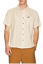 view 4 of 5 CAMISA CRU in Hazelnut & Painterly Stripe