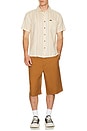 view 5 of 5 CAMISA CRU in Hazelnut & Painterly Stripe