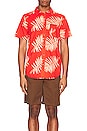 view 4 of 4 Charter Short Sleeve Shirt in Aloha Red & Palm Leaf