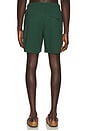 view 2 of 4 SHORT in Primal Green