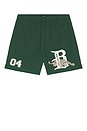 view 4 of 4 SHORT in Primal Green