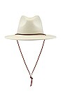view 3 of 3 Field Hat in Dove