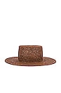 view 3 of 3 WHITNEY 모자 in Brown