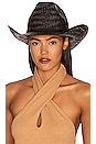 view 1 of 3 Houston Straw Cowboy Hat in Black