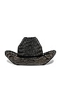 view 3 of 3 Houston Straw Cowboy Hat in Black