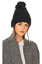 view 1 of 2 Dillon Beanie in Black