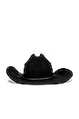 view 3 of 3 El Paso Reserve Cowboy Hat in Black