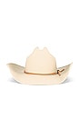 view 2 of 3 El Paso Reserve Cowboy Hat in Whitecap