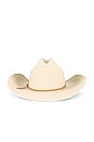 view 3 of 3 El Paso Reserve Cowboy Hat in Whitecap