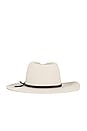 view 3 of 3 Cohen Cowboy Hat in Dove