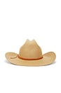 view 3 of 4 Laredo Branded Cowboy Hat in Antique Bronze