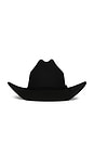 view 2 of 4 Laredo Wthr Guard Cowboy Hat in Black