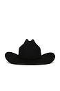 view 3 of 4 Laredo Wthr Guard Cowboy Hat in Black