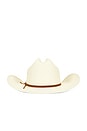 view 1 of 3 SOMBRERO DE COWBOY DE PAJA LAREDO in Bone
