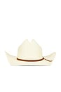 view 2 of 3 SOMBRERO DE COWBOY DE PAJA LAREDO in Bone