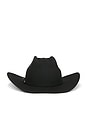 view 2 of 3 SOMBRERO DE COWBOY PRESCOTT in Black