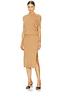 view 1 of 4 Lori Sleeveless Dress in Camel Melange