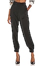 view 1 of 4 Sandra Jogger Pant in Black Onyx