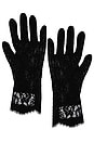 view 2 of 2 Short Lace Gloves in Black