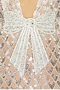 view 4 of 4 MAXIVESTIDO LIORA in Silver