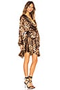 view 2 of 3 Amazon Robe Dress in Black & Brown