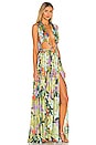 view 2 of 4 Tropics Maxi Dress in Multicolor