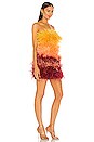 view 2 of 3 Sunset Feather Dress in Multicolor