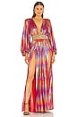 Bronx and Banco Zoe Rose Gown in Multicolor | REVOLVE