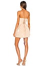 view 3 of 4 Maraya Corset Mini Dress in Nude