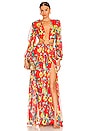 view 1 of 3 Flavia Maxi Dress in Red & Multi